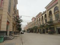 东兴边贸中心商业街墅(法式天地楼)2014.4实景图