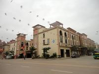 东兴边贸中心商业街墅(法式天地楼)2014.4实景图