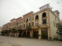 东兴边贸中心商业街墅(法式天地楼)2014.4实景图