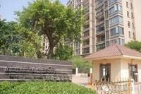 冠亚国际星城一、二期交付实景