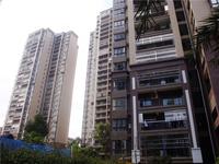 丰业香樟园实景图