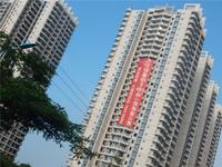 富丽华海御 实景图