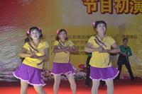 第二届南兴地产迎春晚会12月15日晚初演