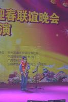第二届南兴地产迎春晚会12月15日晚初演