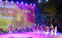 第二届南兴地产迎春晚会12月15日晚初演