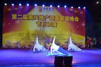 第二届南兴地产迎春晚会12月15日晚初演
