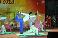 第二届南兴地产迎春晚会12月15日晚初演