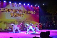 第二届南兴地产迎春晚会12月15日晚初演