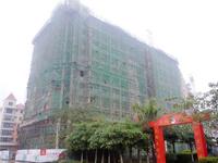 龙州国际实景图 