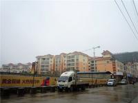 龙州国际实景图 