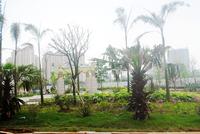 项目4月份实景图