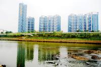 项目4月份实景图