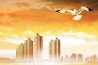 圣景龙湾 效果图