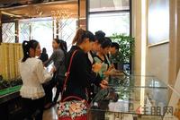 海华东盟公馆开盘热销(2014.3.30)