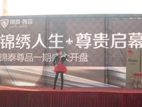 2014.1.1锦泰尊品开盘