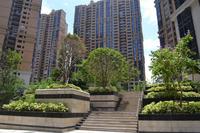 广源国际社区实景图3