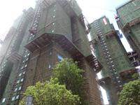 项目实景图