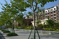联发乾景 实景图2014.10.23