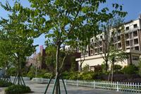 联发乾景 实景图2014.10.23