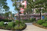 联发乾景 实景图2014.10.23