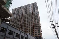茉莉春天实景图