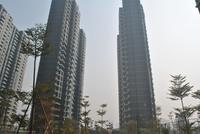 恒祥豪苑1月最新实景