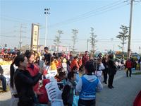 碧园·海公馆 活动图片