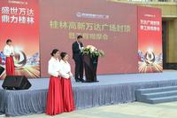 桂林高新万达广场全线封顶 (3)