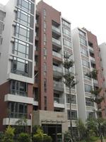 香港园实景图（2014.1.8）