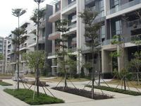 香港园实景图（2014.1.8）