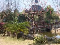 东方国际小区园林实景图