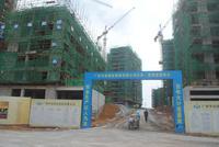 项目最新实景图