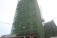 项目最新实景图