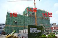 一号楼工程进度图