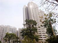 天河山海观实景图 