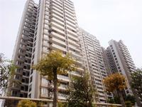 天河山海观实景图 