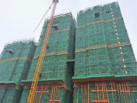 2号楼B单元C单元都已建至23层