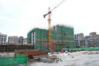 广利都市绿洲实景图