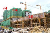 1号楼各单元工程进度