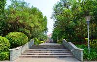 海茵巴塞罗那实景图(6.30)
