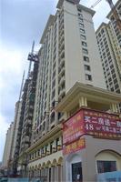 公园一号 实景图 