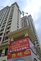 公园一号 实景图 