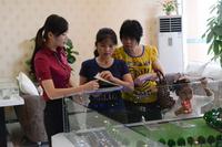 看看有没有合适的户型