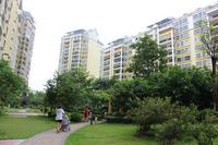 项目纯熟园林实景