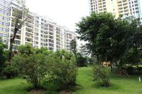 项目纯熟园林实景