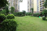 项目纯熟园林实景