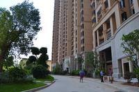 天湖御林湾一期园林实景图