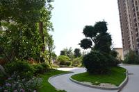 天湖御林湾一期园林实景图