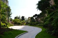 天湖御林湾一期园林实景图