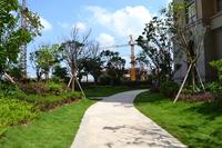 天湖御林湾一期园林实景图